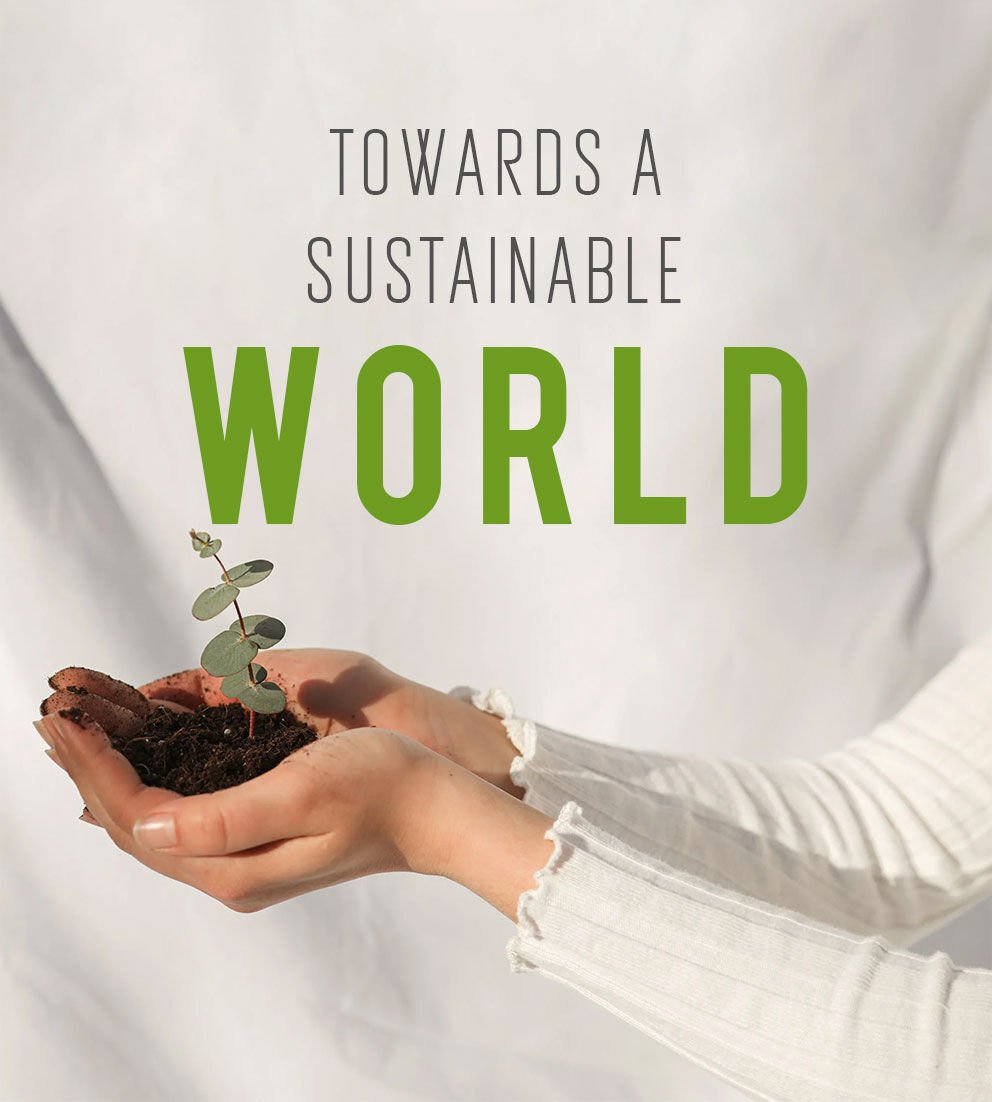Towards a sustainable world