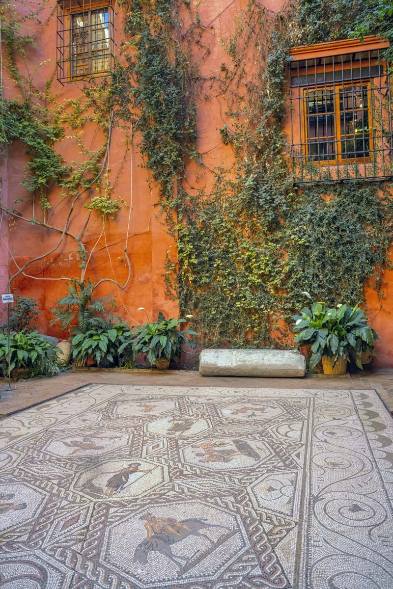 Photograph of the wall with leaves and pots at Casa de Salinas