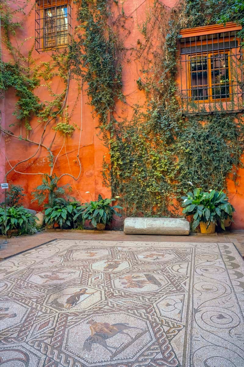 Photograph of the wall with leaves and pots at Casa de Salinas