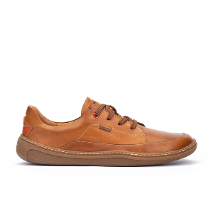 blucher_brandy