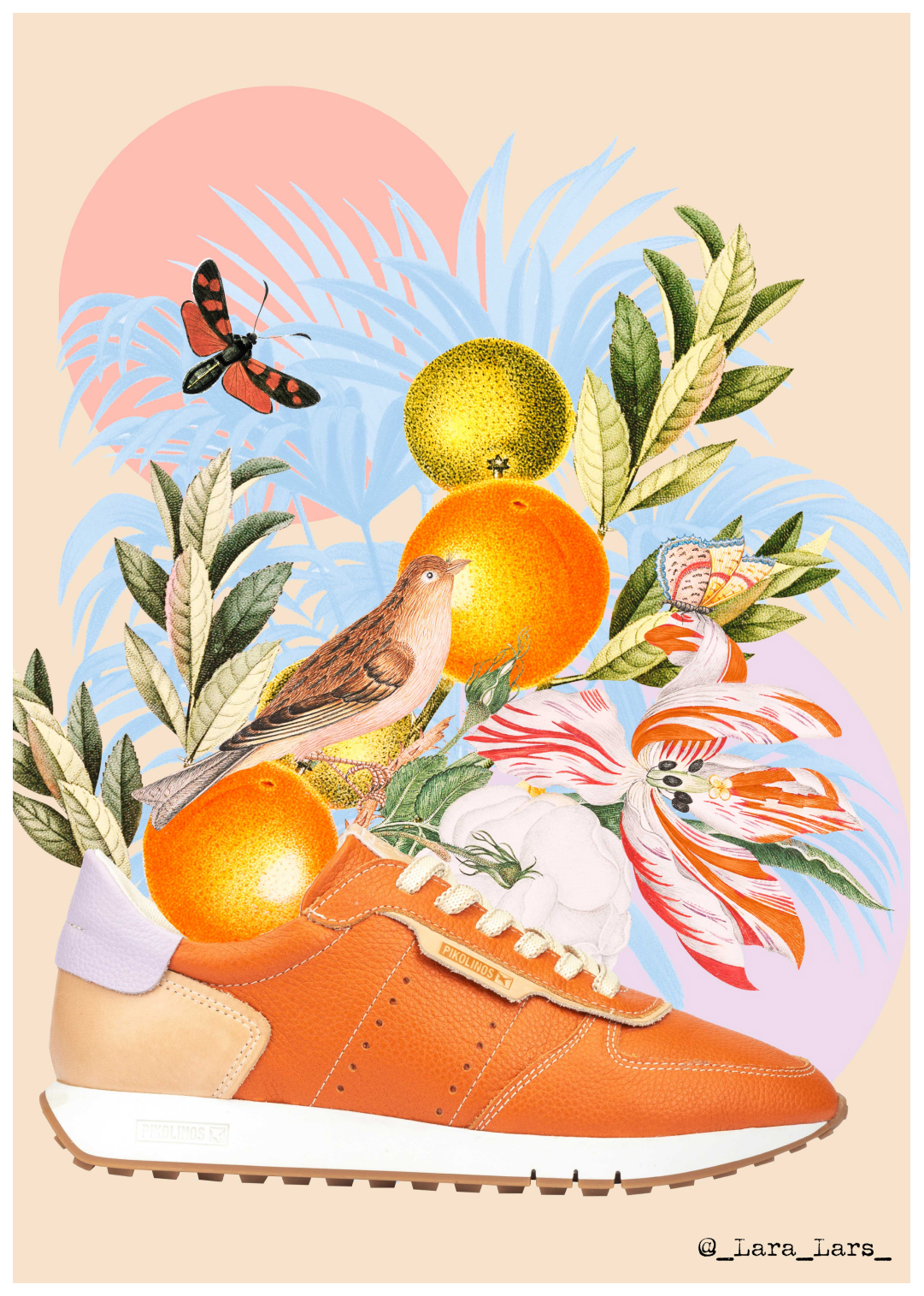 Imagen de deportivo de mujer naranjas sobre un dibujo creado por Lara Lars con hojas, flores, pájaros y naranjas