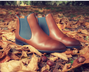 Image of Pikolinos ankle boots, Chelsea style, on a bed of autumn leaves.