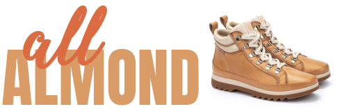 Image of a pair of Vigo model shoes in Almond color with a graphic that relates to the color