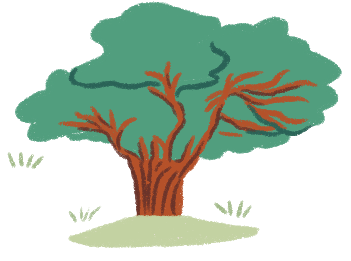 Illustration of a ficus tree