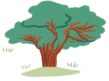 Illustration of a ficus tree