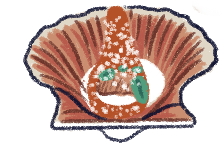 Illustration of a scallop