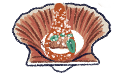 Illustration of a scallop