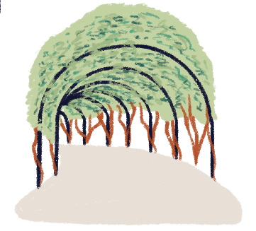 Illustration of an arch formed by trees.
                