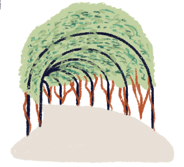 Illustration d'un arc formé par des arbres.
                