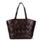 GUADALUPE WHA-396, BROWN, swatch