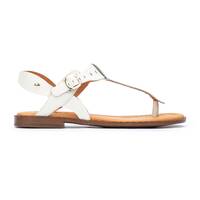 ALGAR W0X-0738, NATA, small
