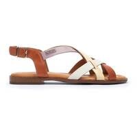 ALGAR W0X-0556C2, NECTAR, small