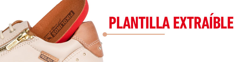 Plantilla extraíble