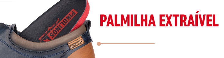 Removable insole