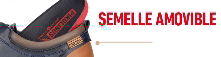 Removable insole