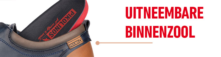 Removable insole